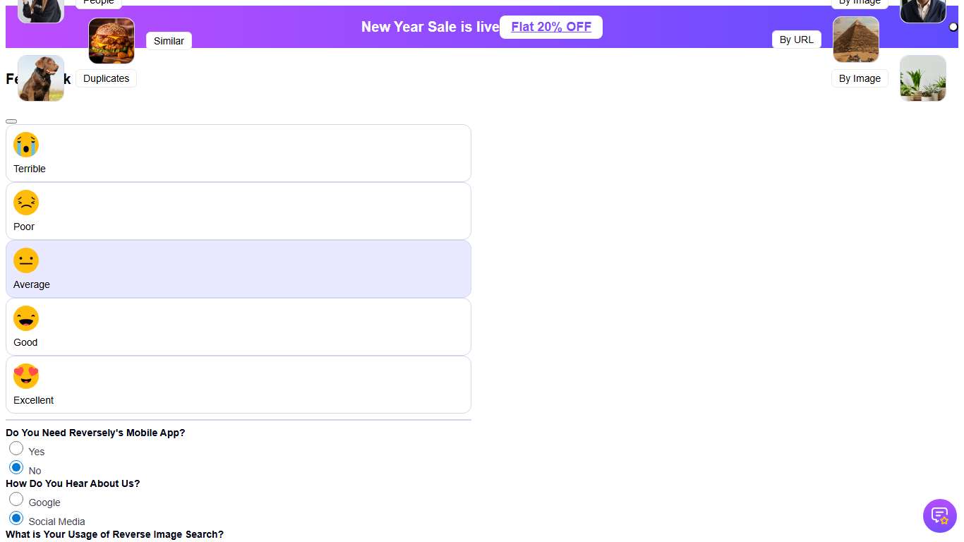Reversely.ai - AI Reverse Image Search